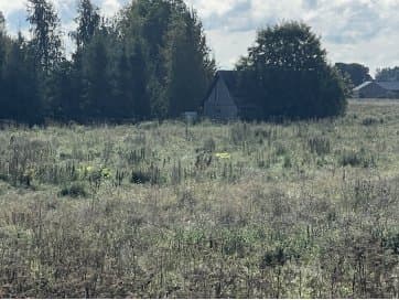 Müüa kinnistud Toila vallas Pühajõe külas
