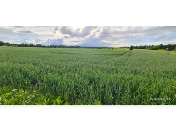 Maatulundusmaa 100%, Harju maakond, Saue vald, Alliku küla, Teevahe (9987,0 m2)
